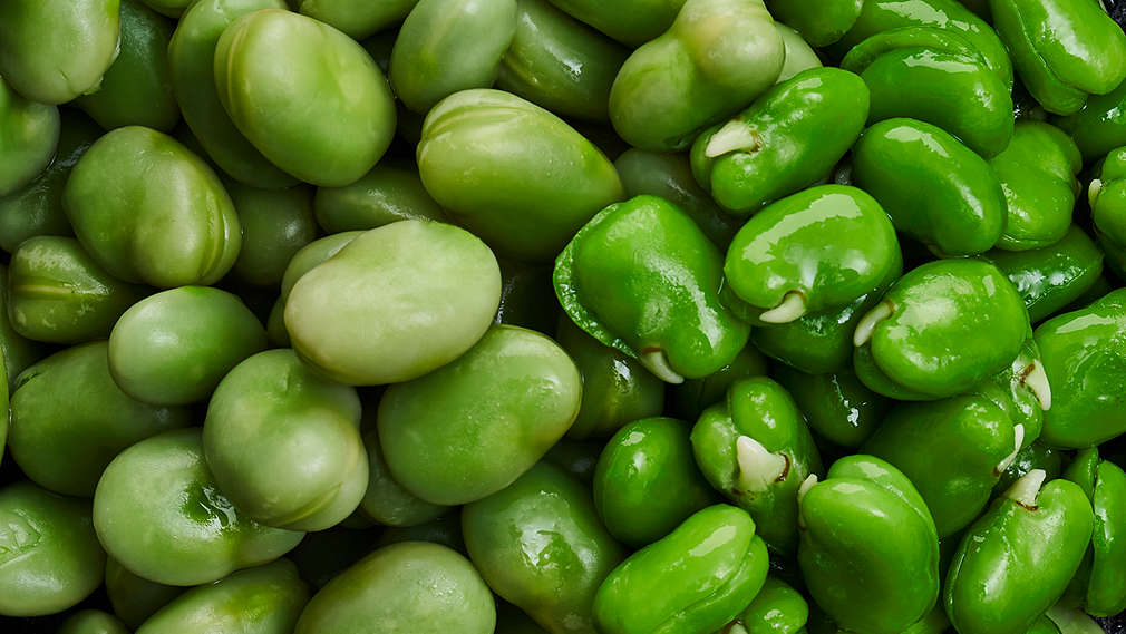 Abbildung von Saubohnen