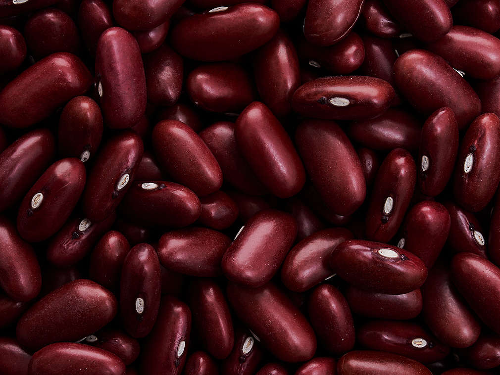 Пресен червен боб в близък план