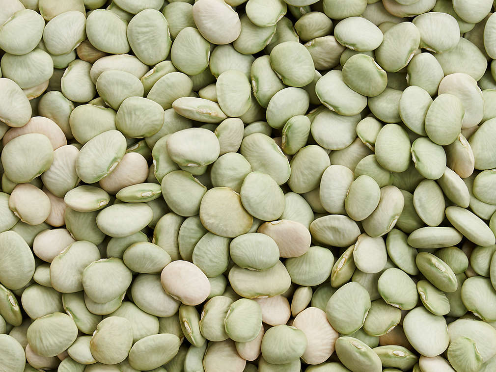 Fasole Lima proaspătă în detaliu