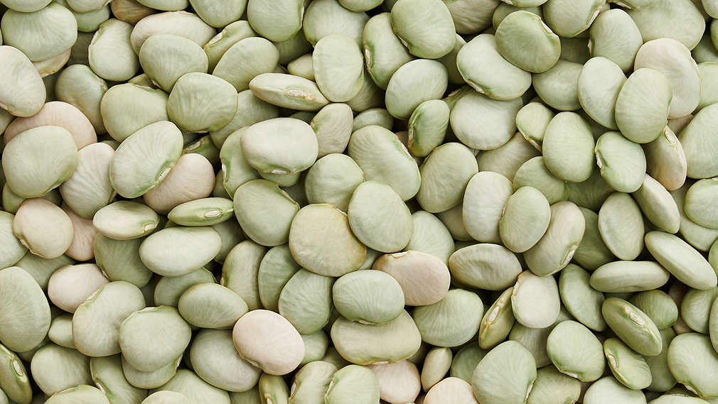 Abbildung von Limabohnen