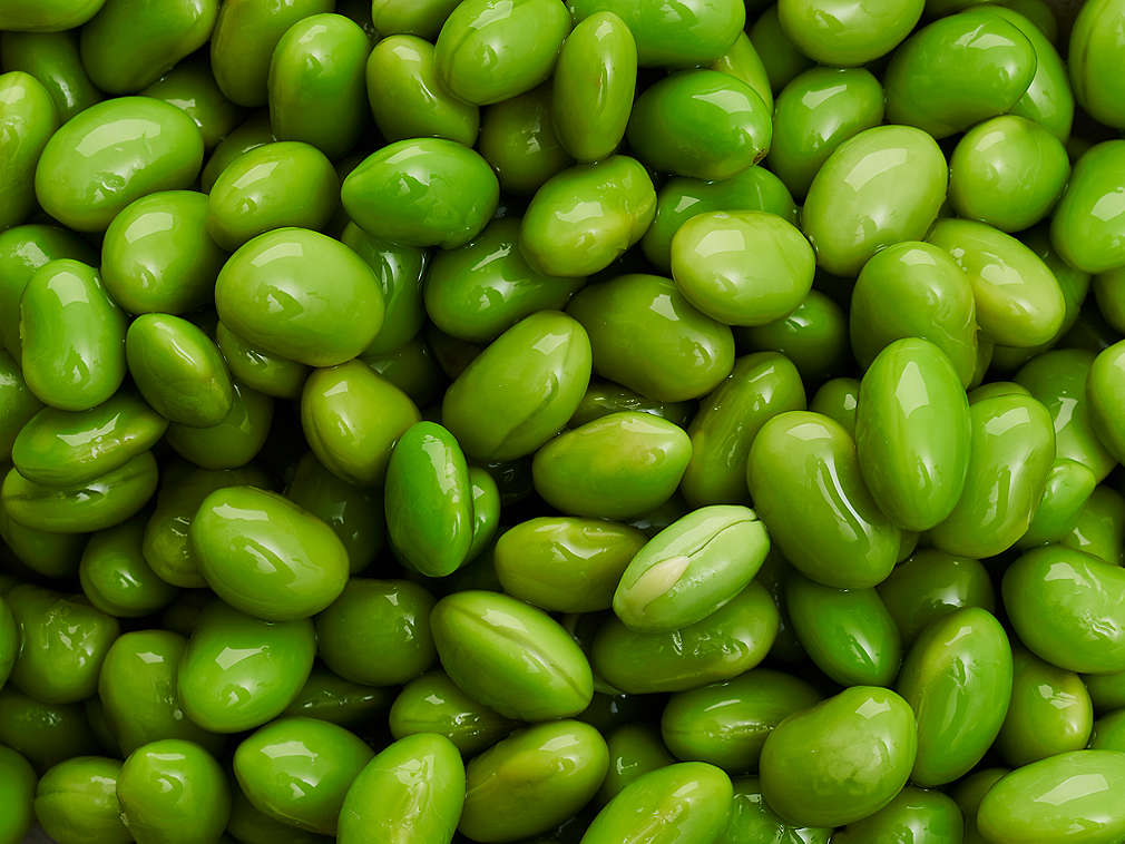 Свежие соевые бобы, подробный вид