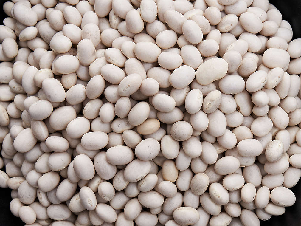 Свежая белая фасоль, подробный вид