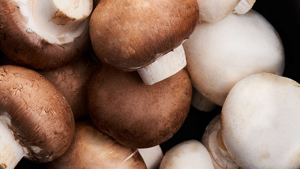 Imagine cu Champignon