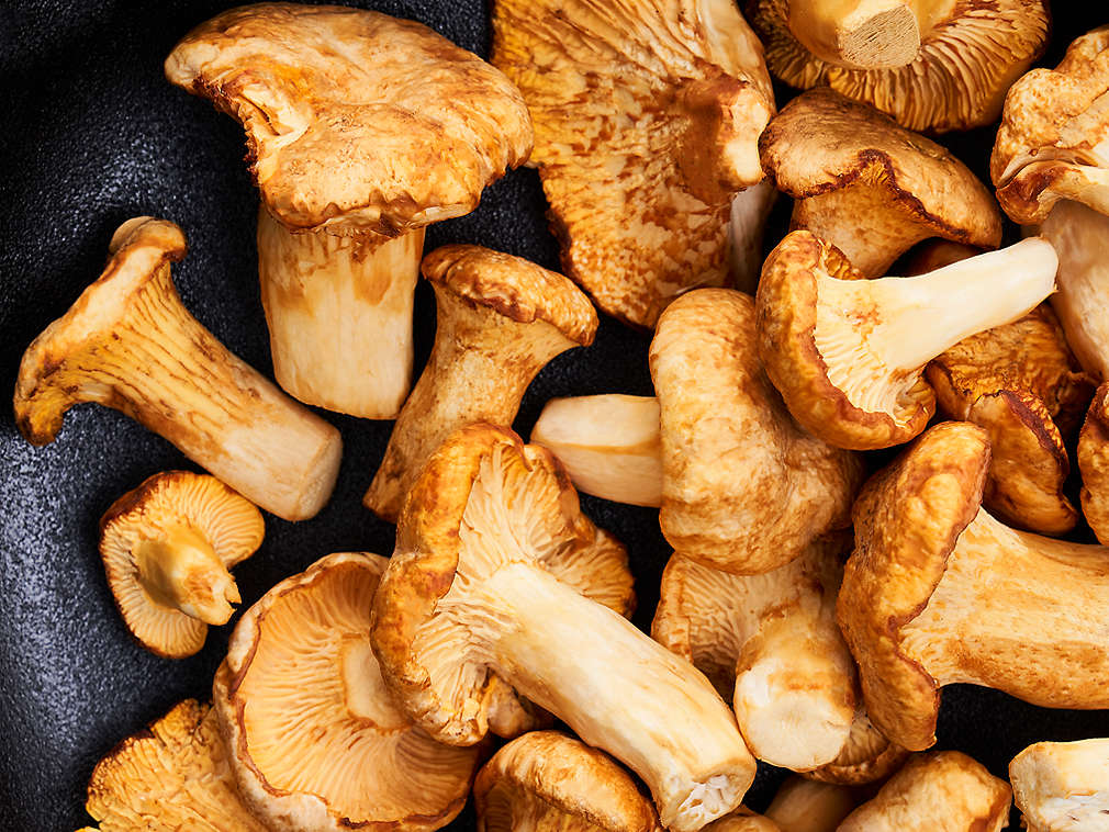 Gălbiori proaspeți în detaliu