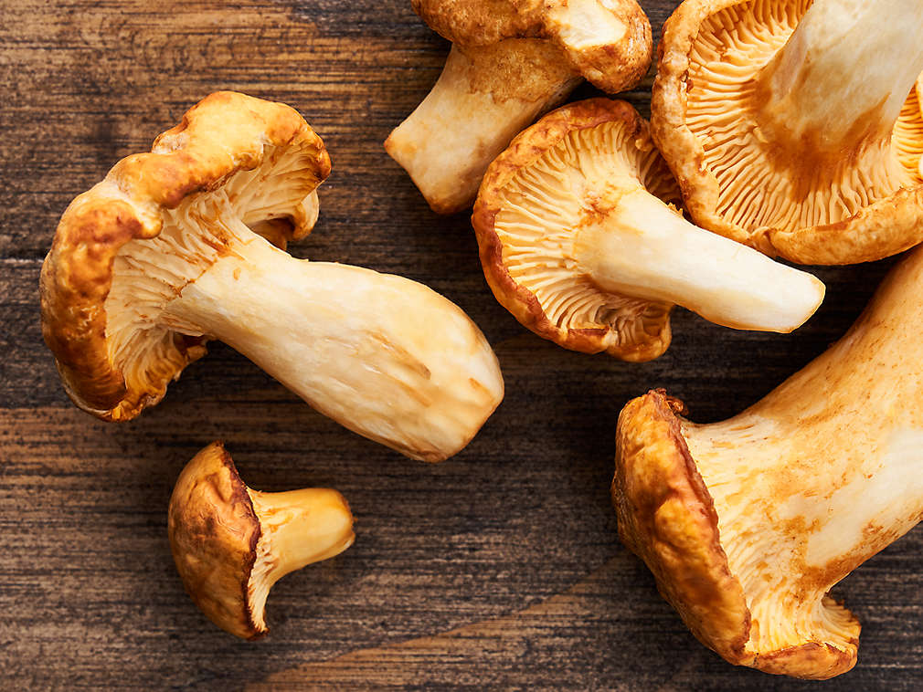 Gălbiori proaspeți în detaliu