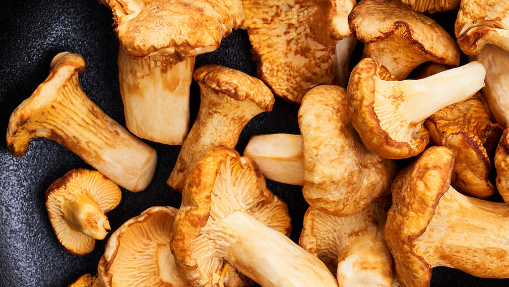 Imagine cu gălbiori