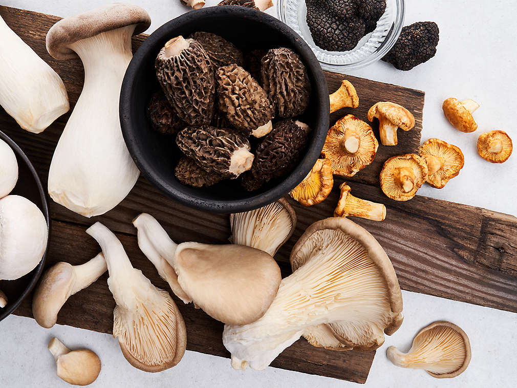 Ciuperci proaspete în detaliu