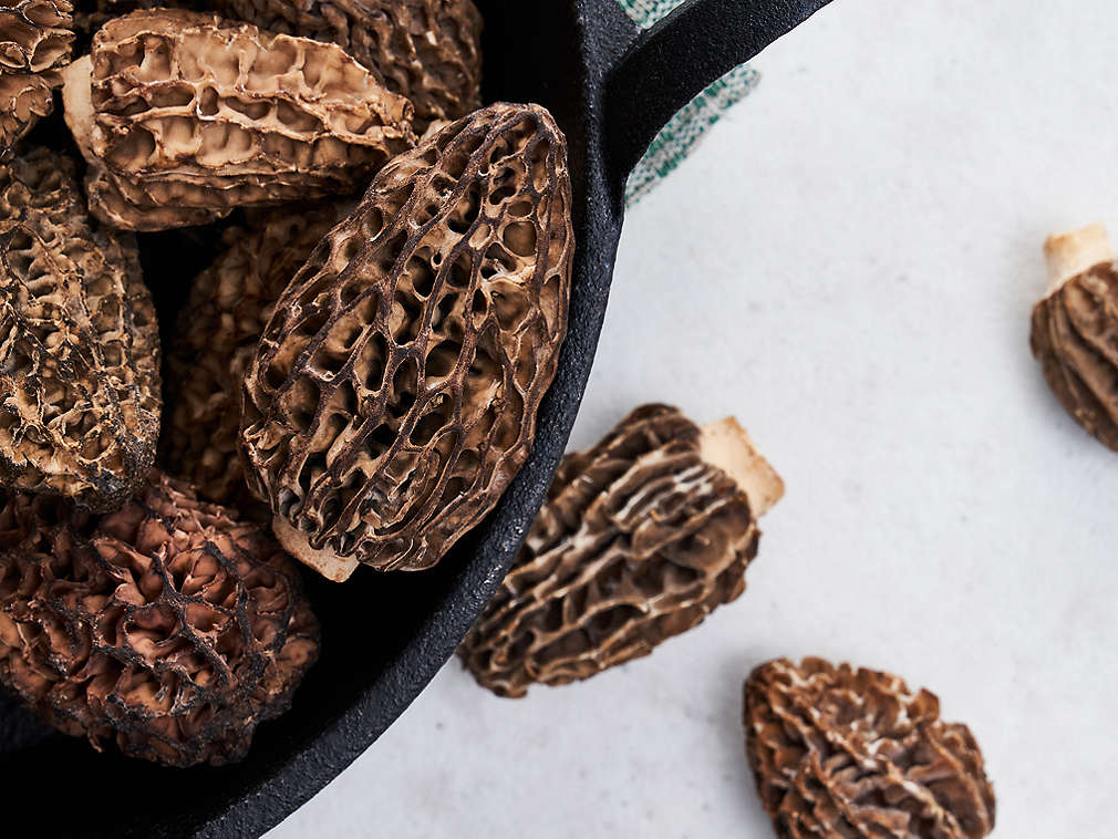 Свежие сморчки, подробный вид