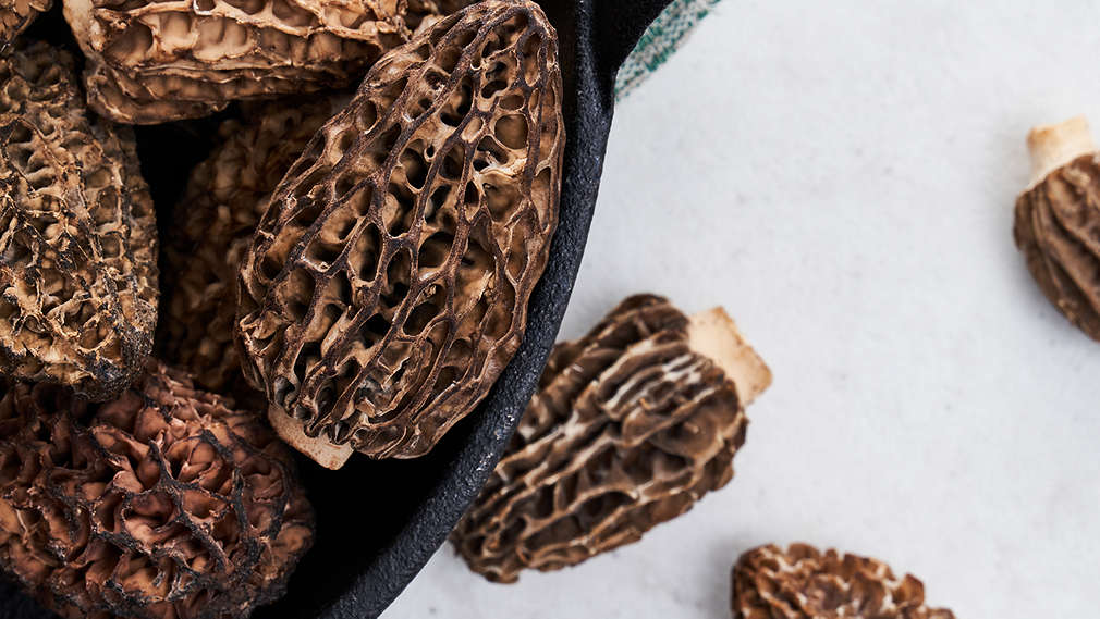 Imagine cu Morchella