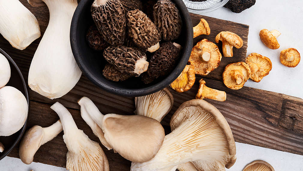 Abbildung von Pilzen