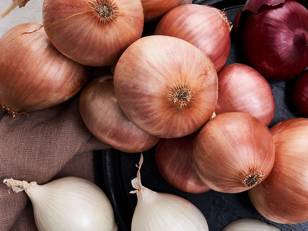Kaufland Cena Cibule