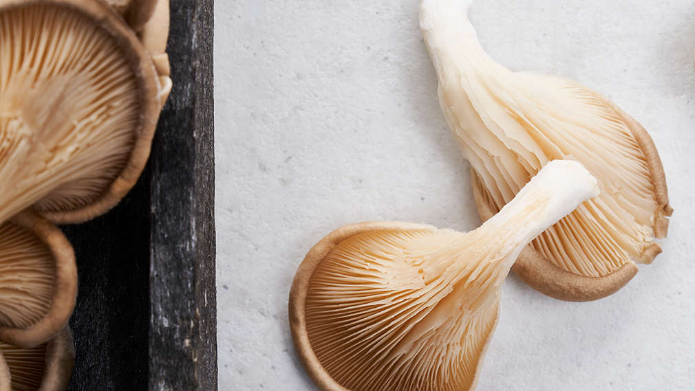 Imagine cu ciuperci de stridie