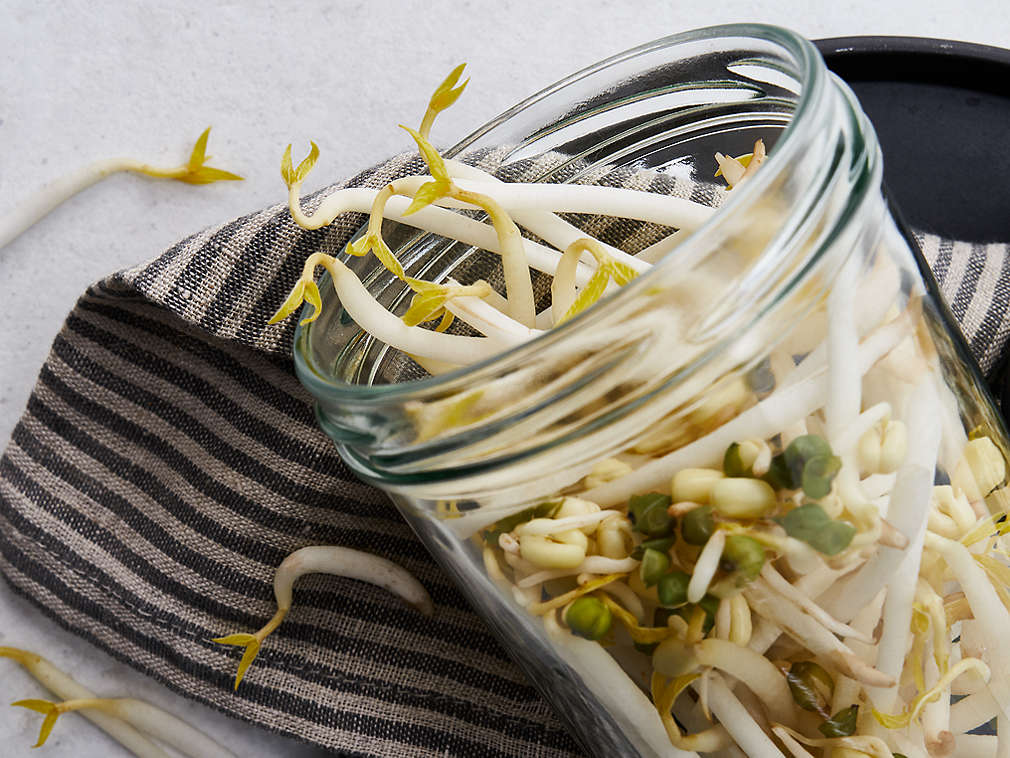 Detailný pohľad na čerstvé sójové výhonky