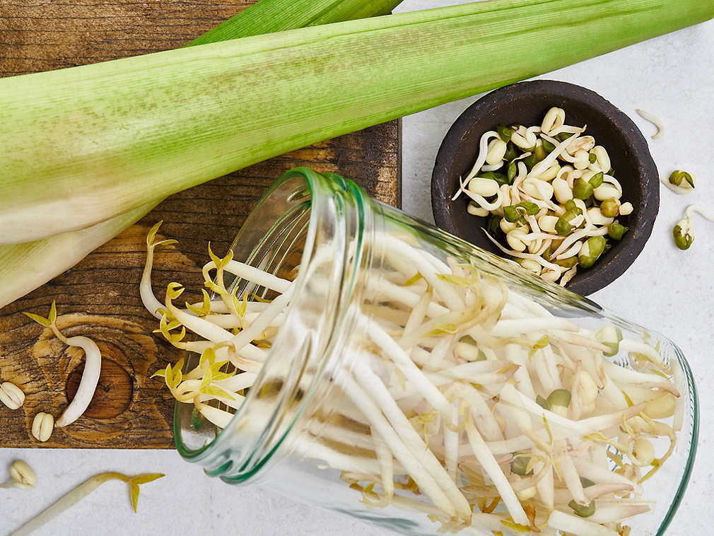 Свежие ростки, подробный вид