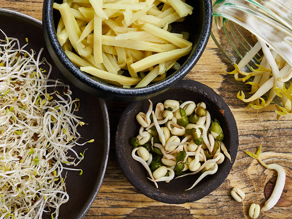 Свежие ростки, подробный вид