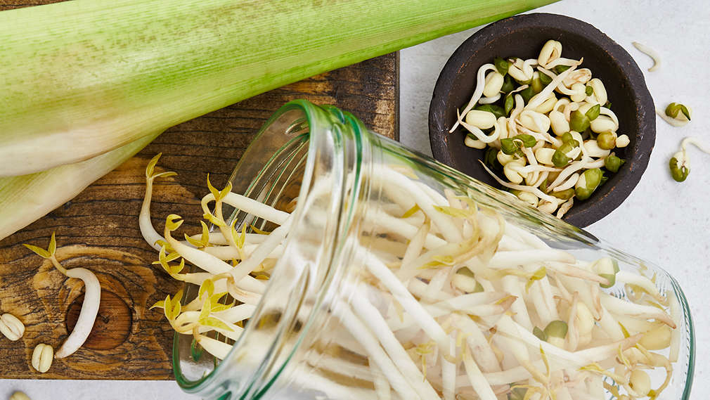 Abbildung von Sprossen