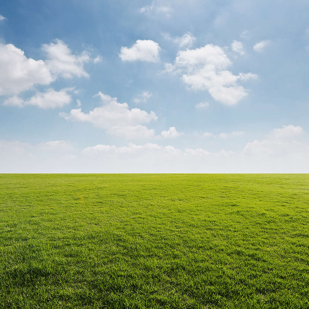 Grüner Rasen mit blauen Himmel und weißen Wolken 