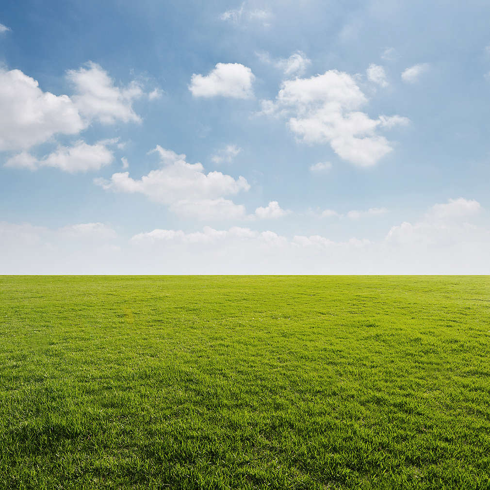 Изображение на зелена поляна и синьо небе с малки бели облачета