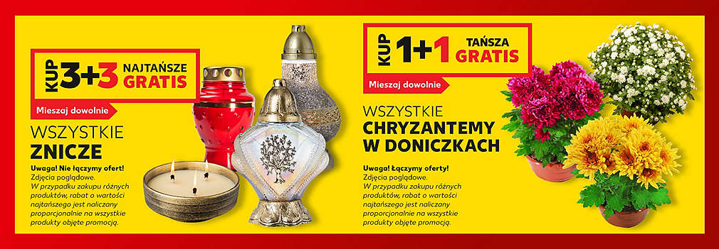 znicze i chryzantemy