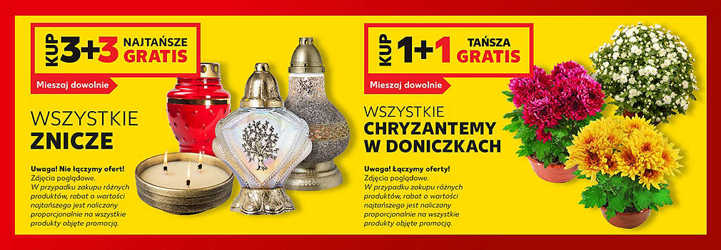 znicze i chryzantemy